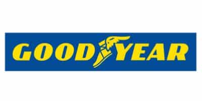 Logo Item